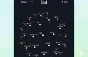 Soul张璐携团队打造差异化产品，引领社交新趋势
